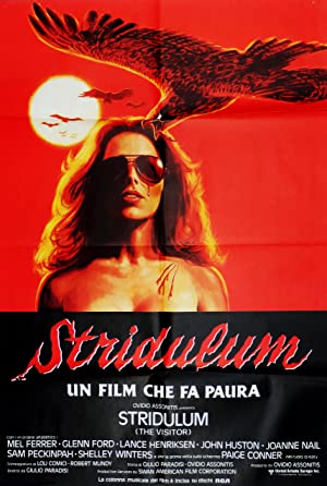 Ziyaretçi izle