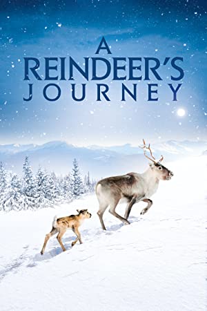Ailo’s Journey izle