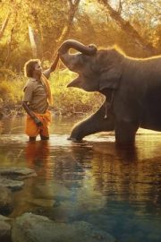 The Elephant Whisperers izle