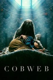 Örümcek Ağı izle