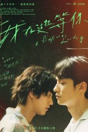 Yitik Balinalar Koyu izle