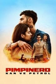Pimpinero: Kan ve Petrol izle